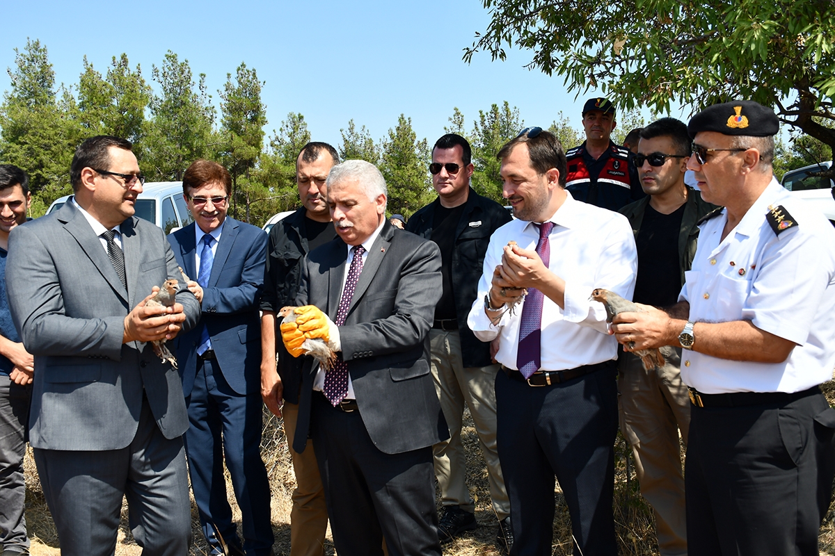 Tekirdağ’da 500 keklik doğaya bırakıldı