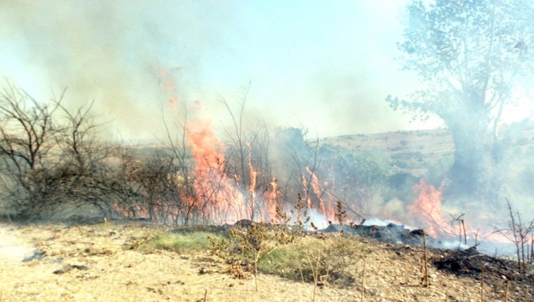 Tekirdağ’da makilik ve ormanlık alan yandı