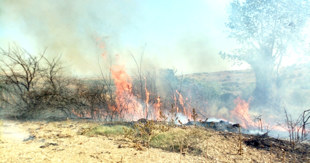 Tekirdağ’da makilik ve ormanlık alan yandı