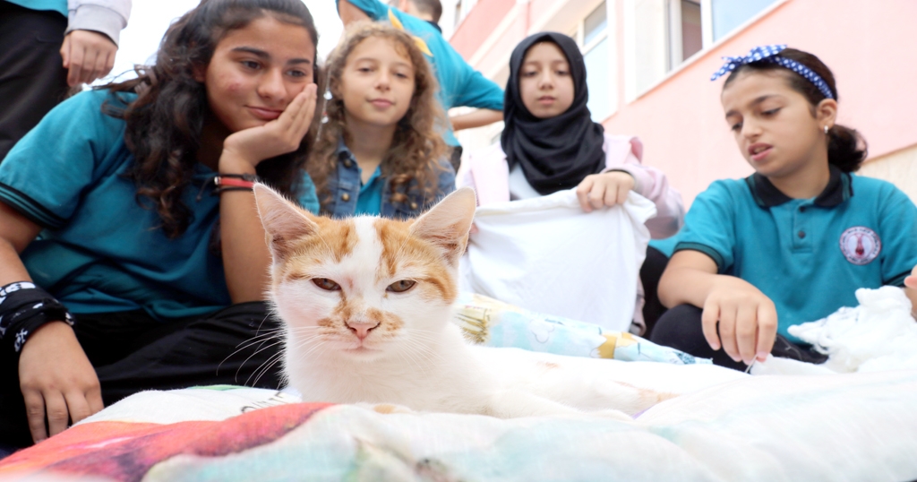 Ortaokul öğrencilerinden sokak kedileri için minder