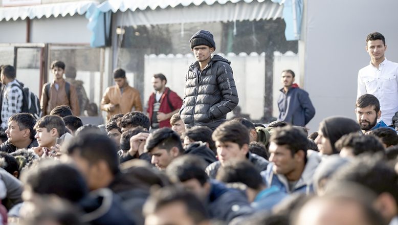 Edirne’de son beş günde 733 düzensiz göçmen yakalandı