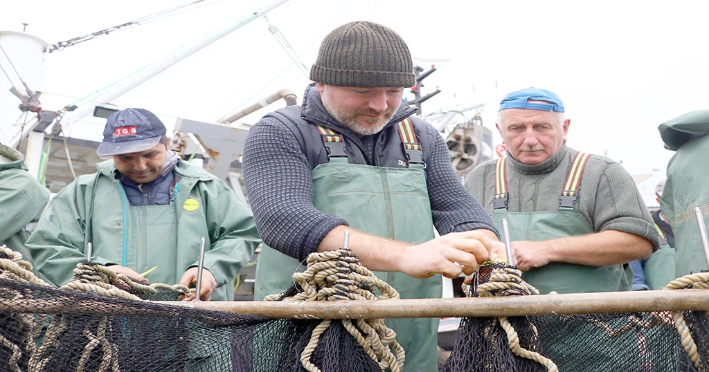 Tekirdağlı balıkçıların yeni yıldan umudu “hamsi”