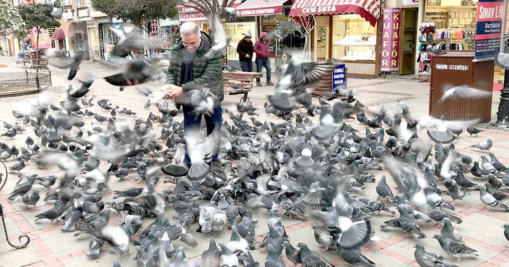Teknisyen Necdet 10 yıldır Edirne’nin güvercinlerini besliyor