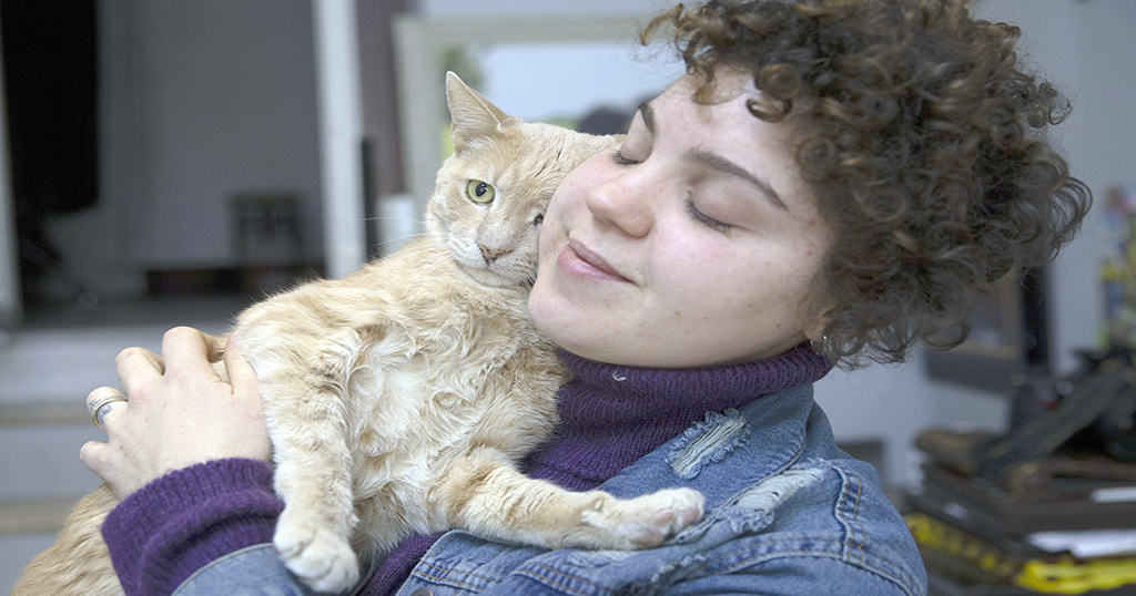 Kedi “Behlül”ün bacağındaki tümör esnafın topladığı yardımla alındı