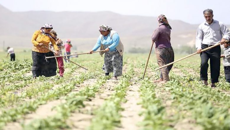 Mevsimlik tarım işçilerinin ücreti arttı