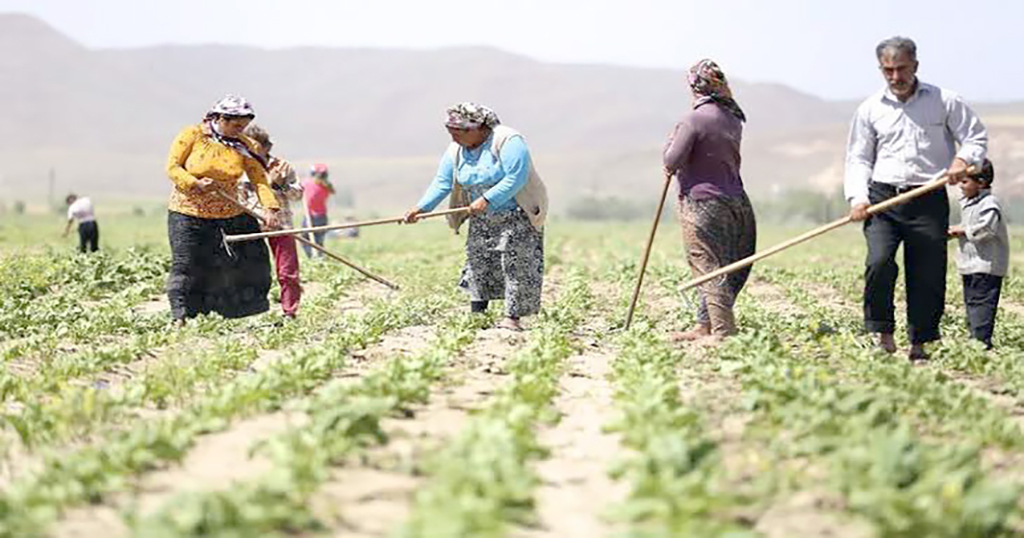 Mevsimlik tarım işçilerinin ücreti arttı