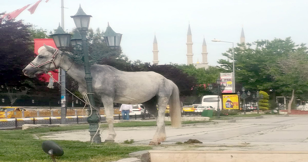 Atatürk Anıtı önünde şaşırtan görüntü!