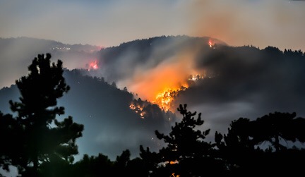 Orman yangını kontrol altına alınmaya çalışılıyor