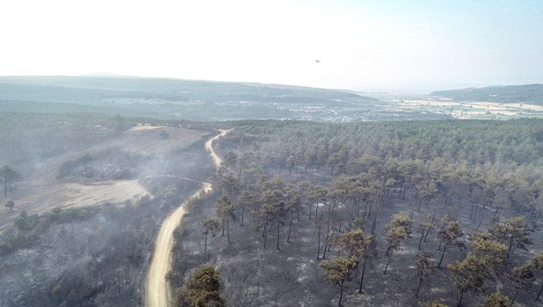 Orman yangını kontrol altına alındı… 450 hektar alan küle döndü!