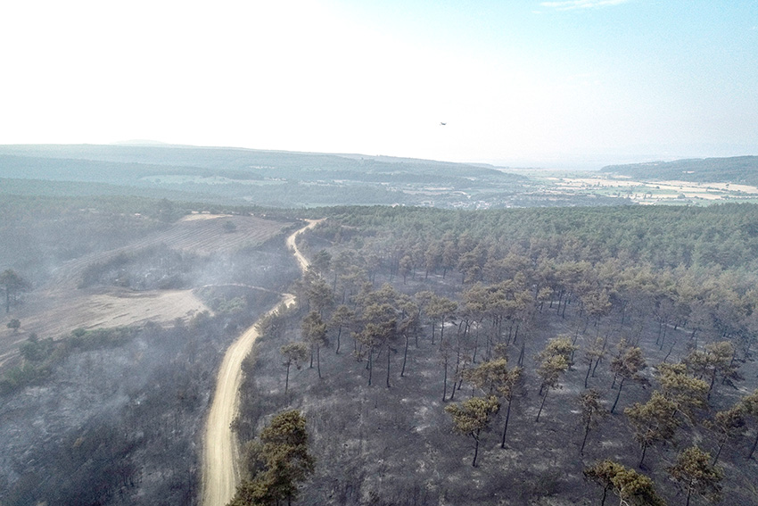 Orman yangını kontrol altına alındı… 450 hektar alan küle döndü!