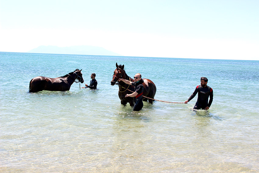 Şampiyon atlar Saros’da form tutuyor