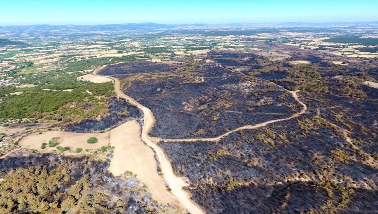 Çanakkale’de yanan ormanlık alanı yeniden ağaçlandıracak