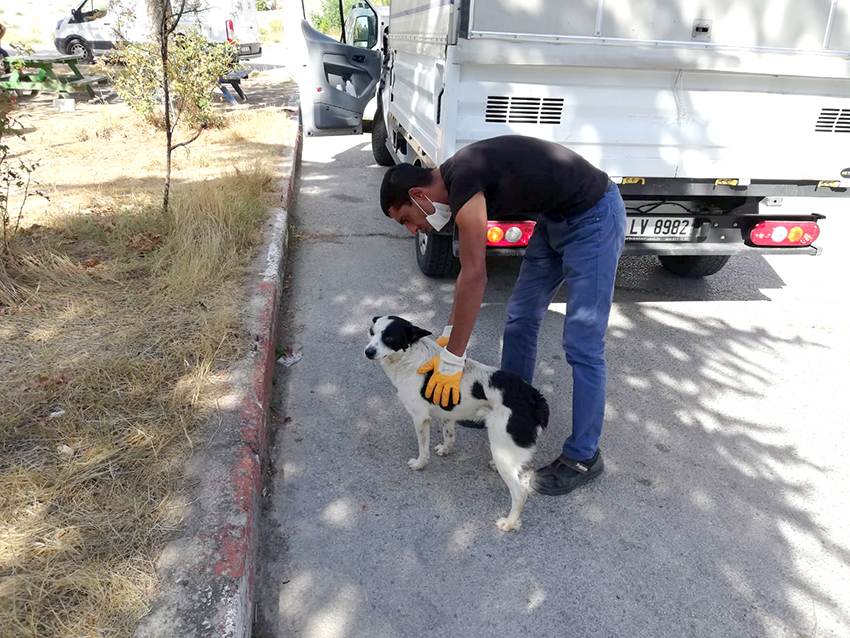 Sokak hayvanları için, 112 acil müdahale ekibi
