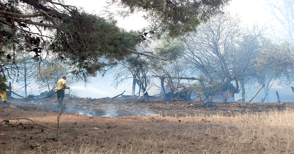 Yangın, 50 dönüm tarım arazisine zarar verdi