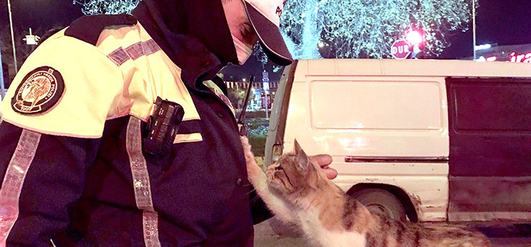Üşüyen kedi polislere sığındı