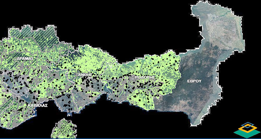 Rodop ilinin yeni orman haritaları yayımlandı