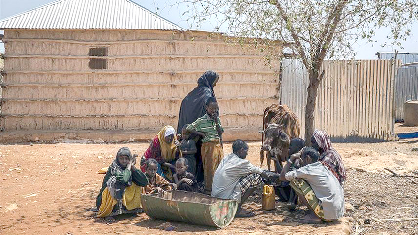 “Somali’de kuraklık, ülkenin en az yüzde 80’ini etkiliyor”