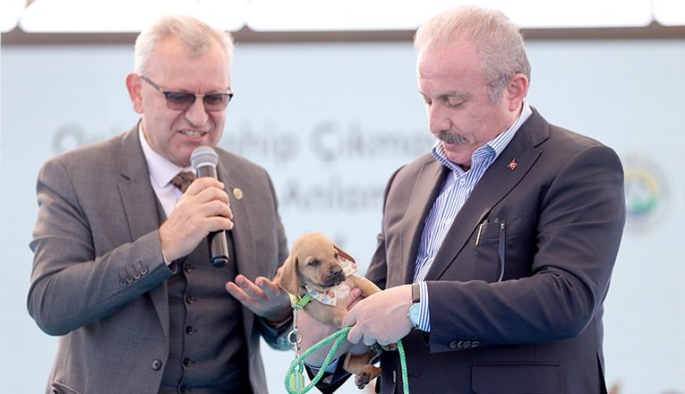 TBMM Başkanı Şentop’a sokak köpeği armağan edildi