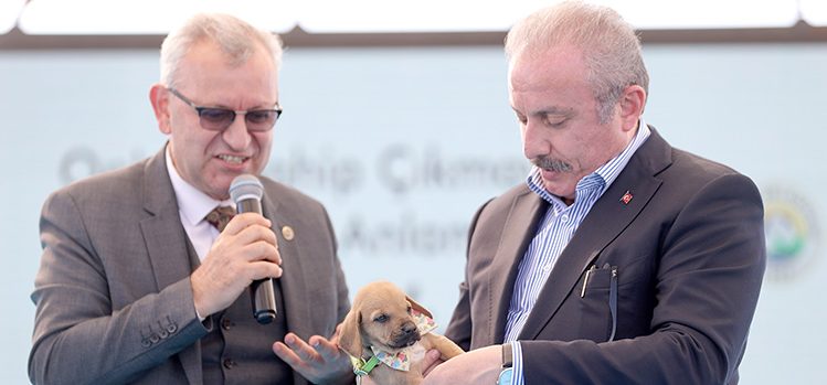 TBMM Başkanı Şentop’a sokak köpeği armağan edildi