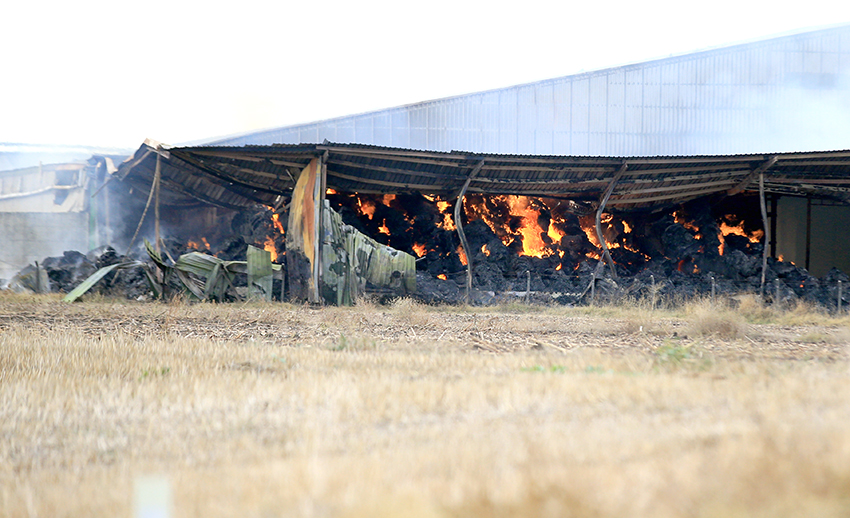 Besi çiftliğindeki yangını söndürme çalışmaları sürüyor