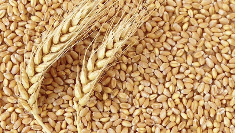 Buğdayın kilogramı en yüksek 3 lira 681 kuruştan satıldı