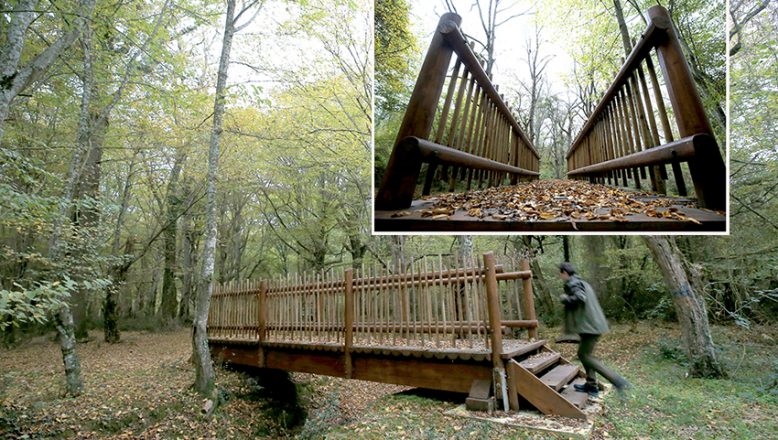 Longoz Ormanı’ndaki dereler, ahşap köprülerle aşılacak