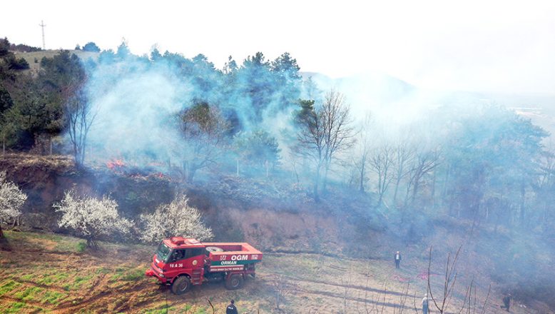 Bursa’da ormanlık alanda yangın çıktı