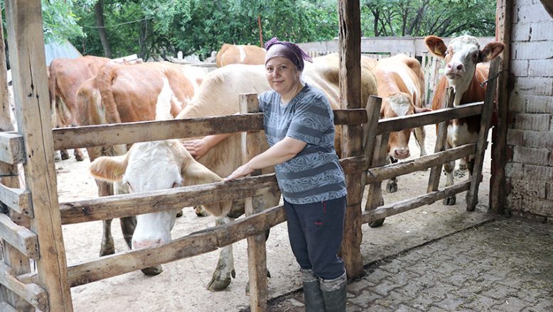 Genç Çiftçi Projesi’nden hibe aldığı 6 inekle üretici oldu