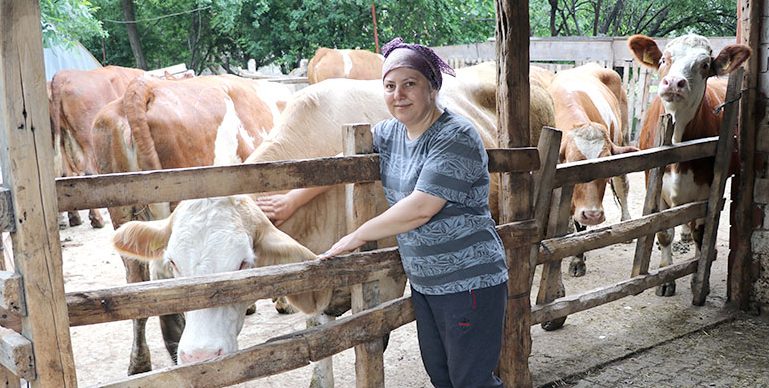 Genç Çiftçi Projesi’nden hibe aldığı 6 inekle üretici oldu