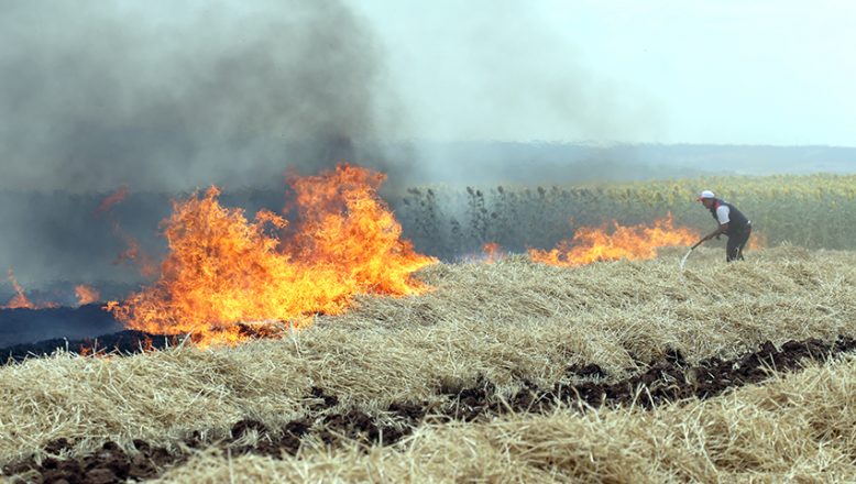 Buğday hasadı sırasında yangın çıktı, 10 dönüm ekili alan zarar gördü