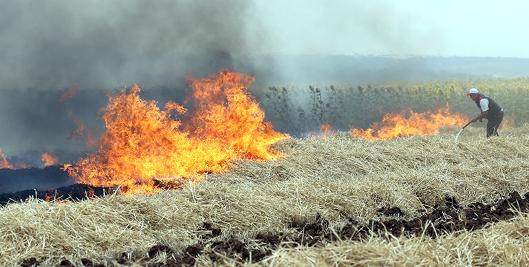 Buğday hasadı sırasında yangın çıktı, 10 dönüm ekili alan zarar gördü