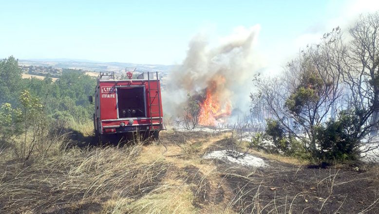 Yangında 2 hektar ormanlık alan zarar gördü