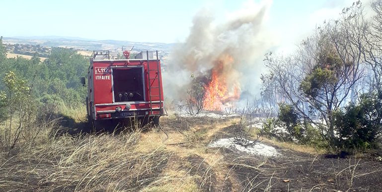 Yangında 2 hektar ormanlık alan zarar gördü