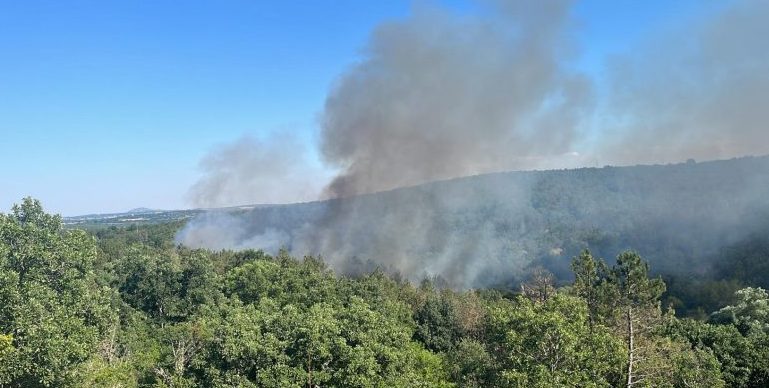 Edirne’de çıkan orman yangınına müdahale ediliyor