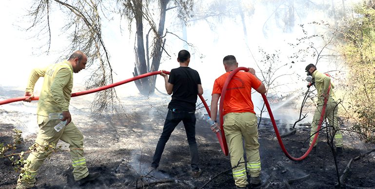 Edirne’de çıkan orman yangını söndürüldü