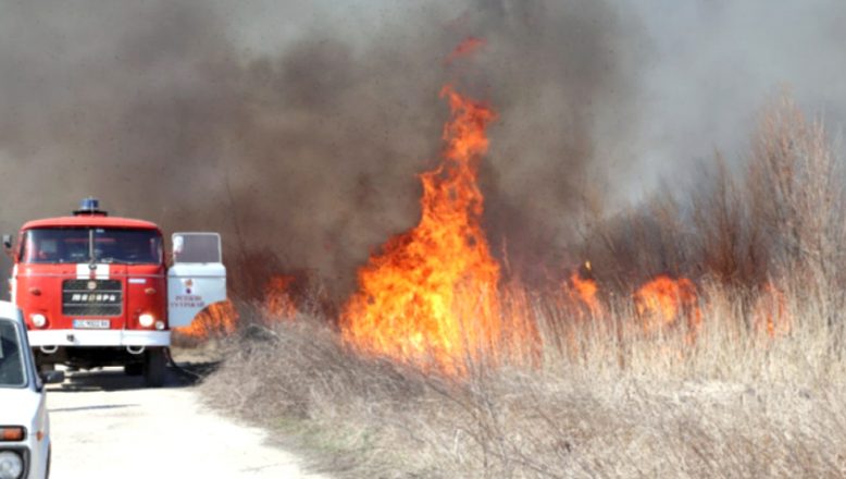 Orman yangınlarını tetikleyerek, insan sağlığını tehdit ediyor