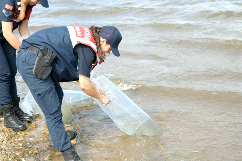 Jandarma göletlere balık yavrusu bıraktı