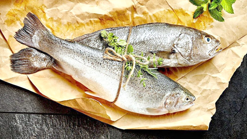 “Balık sezonu açıldı! Balık tüketmenin faydaları nelerdir?”