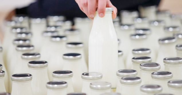 Sırbistan, süt ihracatına yasak getirdi