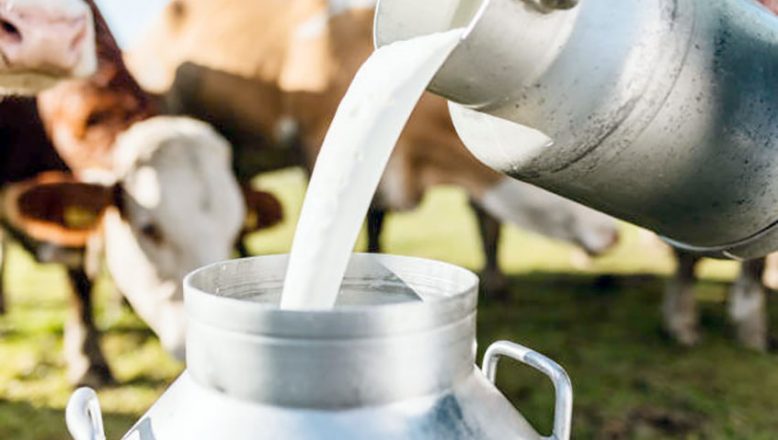 Çiğ süt fiyatı 8,50 TL oldu