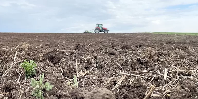 Trakya’da çiftçilerin ayçiçeği ekimi mesaisi başladı