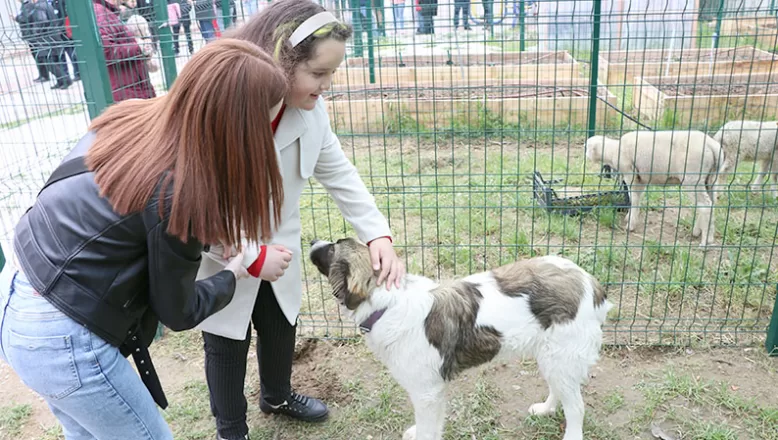 Edirne’de otizmli öğrenciler hayvan sevgisi ve bahçe işleriyle sosyalleşecek
