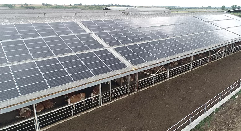 Kırklareli’nde modern süt üretim tesislerinin enerji ihtiyacı güneşten karşılanıyor