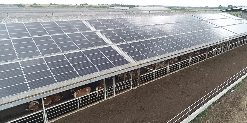Kırklareli’nde modern süt üretim tesislerinin enerji ihtiyacı güneşten karşılanıyor