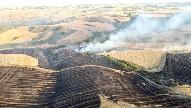 Tekirdağ’da 40 dönüm buğday ekili alan yandı