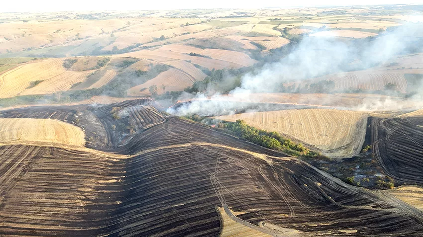 Tekirdağ’da 40 dönüm buğday ekili alan yandı