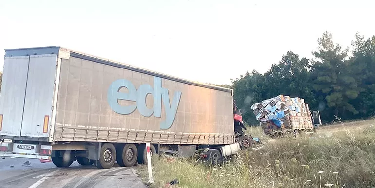 Arı yüklü kamyonun karıştığı kazada 4 kişi hayatını kaybetti