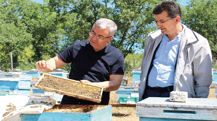 Kırklareli’nde bal üreticilerine “Ana Arı Üretimi” Projesi kapsamında damızlık ana arılar teslim edildi