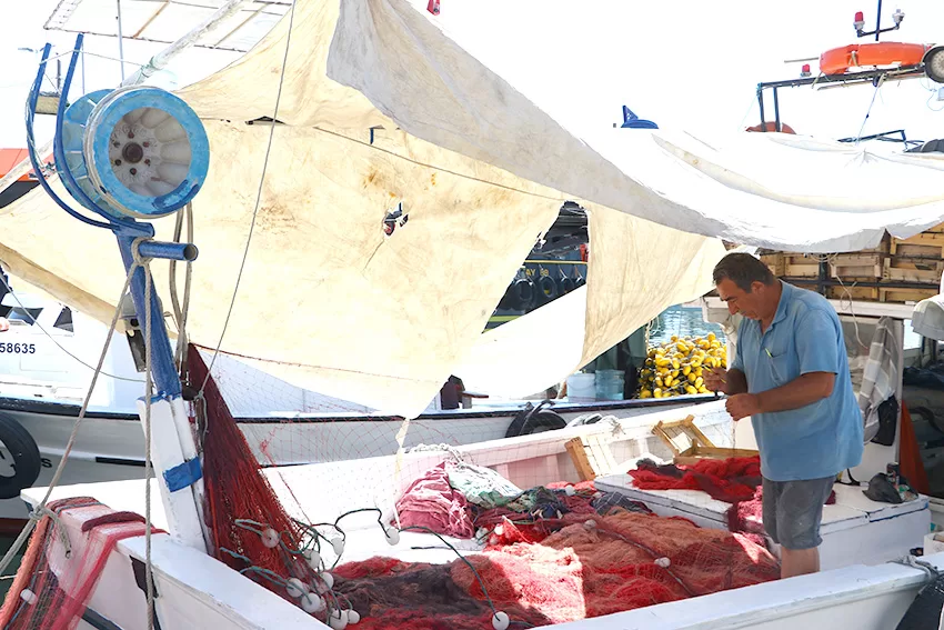 Tekirdağlı balıkçılar yeni sezona “hamsi ve lüfer” umuduyla hazırlandı