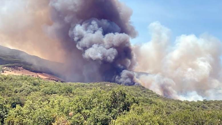 Yunanistan’da Kozlukebir bölgesinde yine yangın çıktı